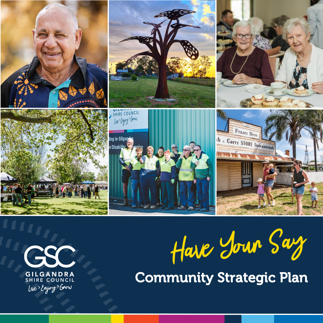 Community-Strategic-Plan-FB-Tile-2025-1.png